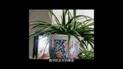 黄梅戏反串歌手黄红光一曲《春光美》直接秒了原唱音乐背景音乐视频音乐爱奇艺