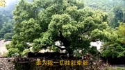 一曲《咱爸咱妈》感恩父母,好听极了!音乐背景音乐视频音乐爱奇艺