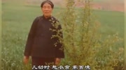 秦腔《想亲娘》冷凄凄 阴坡凹哭妈几声 听哭了音乐背景音乐视频音乐爱奇艺