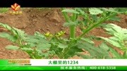 农林卫视《中国农资秀》大棚里的1234广告完整版视频在线观看爱奇艺