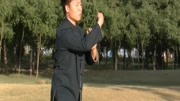 杨建超 八十五式 杨式太极拳 教学片(五)知识名师课堂爱奇艺