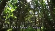 贵州省黔东南宣传片原创完整版视频在线观看爱奇艺