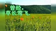 一个关于环保的小视频.高清原创完整版视频在线观看爱奇艺