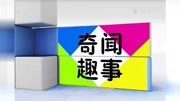 用这个数珠子,不仅快,还不会数错,一小时能数几万颗珠子生活完整版视频在线观看爱奇艺