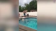 男子跳水失误摔跳板上跌入泳池 围观亲友爆笑