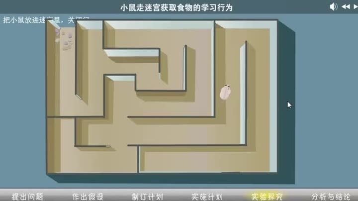 模拟实验之小老鼠走迷宫获取食物的学习行为