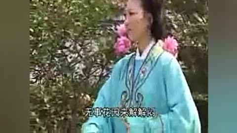 庐剧 秦雪梅观画