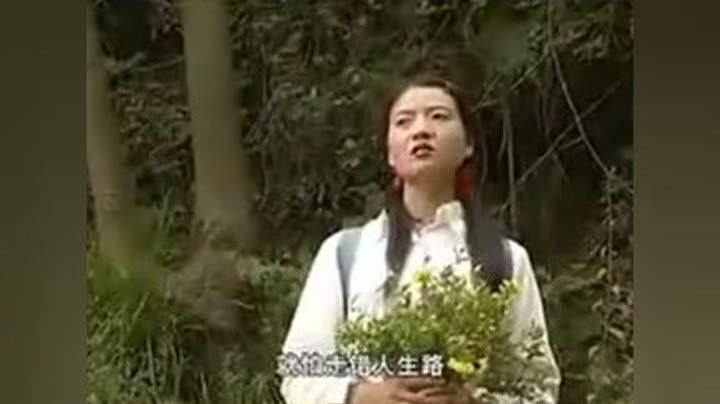 云南山歌剧【桃花女人】 贵州山歌-毛家超 高碧波