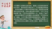 十二生肖今日运势及各种注意事项解析.生活完整版视频在线观看爱奇艺