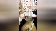 四百年的乳鼠酒虽然大补,但是你敢喝吗?原创完整版视频在线观看爱奇艺