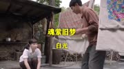 白光的一首《魂萦旧梦》,很喜欢听,此曲声出金石音乐背景音乐视频音乐爱奇艺