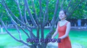 红袖一首DJ歌曲《我愿今生爱上你》好听极了,听了都点赞!音乐背景音乐视频音乐爱奇艺