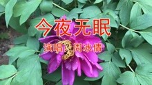 周冰倩今夜无眠简谱_今夜无眠简谱歌谱(3)