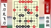 象棋神少帅:黄蕾蕾四子归边,郑惟桐六子归边弃车杀,甘拜下风!体育完整版视频在线观看爱奇艺