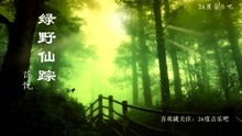 绿野仙踪陈悦简谱_幽林深处简谱陈悦(3)