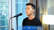 小阿枫《白狐》《追风人》娱乐完整版视频在线观看爱奇艺