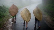 世上最潮湿地方,一年之中335天都在下雨,被称为“世界湿级”!生活完整版视频在线观看爱奇艺