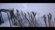 唯美音乐片 《乌苏里江雪花飘》音乐背景音乐视频音乐爱奇艺