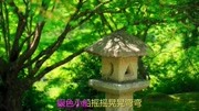 经典老歌:《张学友离人》好听醉了,只愿今生与你共厮守!音乐背景音乐视频音乐爱奇艺