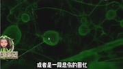 娱乐美国科学家成功研究出,可以删除记忆的技术,可实现选择性失生活完整版视频在线观看爱奇艺