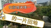 福建仙游县城关唯一的一片田地,周围生活交通方便,临近木兰溪下流旅游完整版视频在线观看爱奇艺