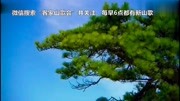 海陆丰客家山歌《罗輋相逢是首歌》音乐背景音乐视频音乐爱奇艺