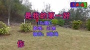 你是我的第一好 (DJ版)  红袖音乐背景音乐视频音乐爱奇艺