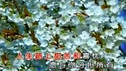 经典怀旧老歌《阳光总在风雨后》满满正能量超好听音乐背景音乐视频音乐爱奇艺