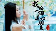 希望音乐,我的一个道姑朋友 双笙【古风MV】音乐背景音乐视频音乐爱奇艺