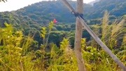 深山丛林里的美丽风景,连呼吸的每一口空气都是新鲜的旅游完整版视频在线观看爱奇艺