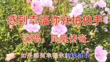 感到幸福你就拍拍手简谱_幸福你就拍拍手简谱(4)