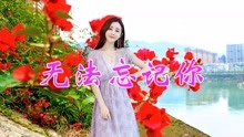 无法忘记你的歌曲的曲谱_无法忘记你杨美华图片(3)