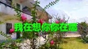 一首《我在想你你在哪》亲爱的你在哪里好听醉人,送给远方的牵挂!音乐背景音乐视频音乐爱奇艺