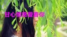 甘心情愿爱着你的简谱_甘心情愿简谱(3)