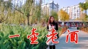 《一壶老酒》这首歌太动听了,旋律优美令人沉醉,回味无穷音乐背景音乐视频音乐爱奇艺