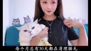 养猫人的春天:猫毛飞舞美如画生活完整版视频在线观看爱奇艺