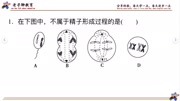 练习版讲解,减数分裂和细胞分裂图的判断坑和注意事项.知识名师课堂爱奇艺