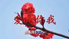 pv_16370404000_d_601_220_124.jpg