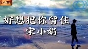 夜幕掩盖月光下的孤独,遥望背影泪眼模糊《好想把你留住》情歌音乐背景音乐视频音乐爱奇艺