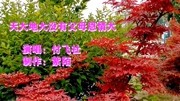 付飞社一首《天大地大没有父母恩情大》字字扎心,句句戳泪音乐背景音乐视频音乐爱奇艺