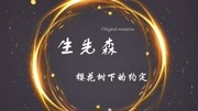 樱花树下的约定音乐背景音乐视频音乐爱奇艺