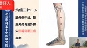 “补中益气”针与“抗癌三针”的应用(下)知识名师课堂爱奇艺