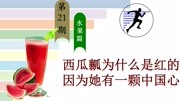 【第21期】水果大数据|西瓜产量最高的国家西瓜的一颗中国心科技完整版视频在线观看爱奇艺