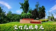 空竹花棍舞龙圣灯公园群阿忠才艺练习音乐背景音乐视频音乐爱奇艺