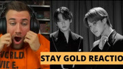 【机翻中字】不断被暴击 娇羞的像个女孩 《Stay Gold》【防弹少年团|BTS|金南俊|金硕珍|闵玧其|郑号锡|朴智旻|金泰亨|田柾国】【reaction】娱乐完整版视...