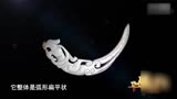 华豫之门：藏友口气不小，说自己的藏品是皇室专用的，是真的吗？