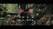 如愿-王菲 国之大爱MV