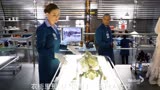 火灾现场发现两具女尸，死因跟女巫有关，《识骨寻踪》