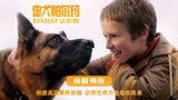 《忠犬帕尔玛》曝终极预告8.26上映 总有生命为治愈你而来