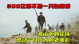 中国最好的战争电影，讲述对越自卫反击战感人故事，高山下的花环